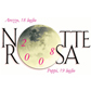 Notte Rosa 2008