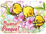 pasqua